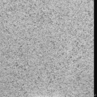Выкройка на попону на лошадь Выкройка на попону на лошадь