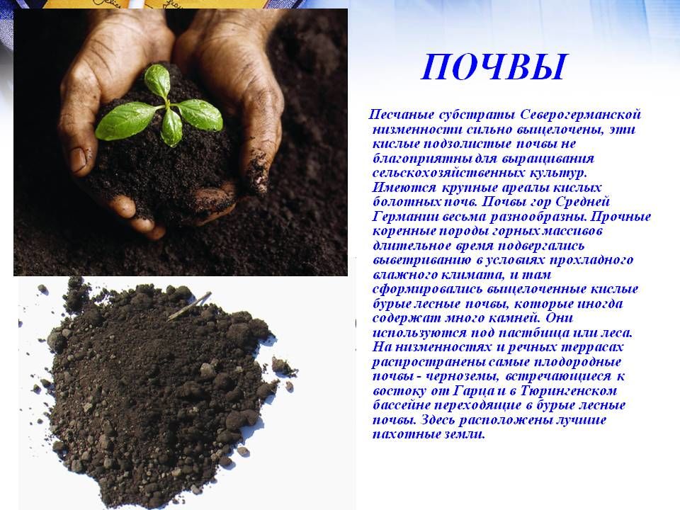 Какая структура почва благоприятна для сельскохозяйственных растений. Кислая почва. Почва с культурами. Почва используемая для выращивания сельхозкультур. Почвенный субстрат.