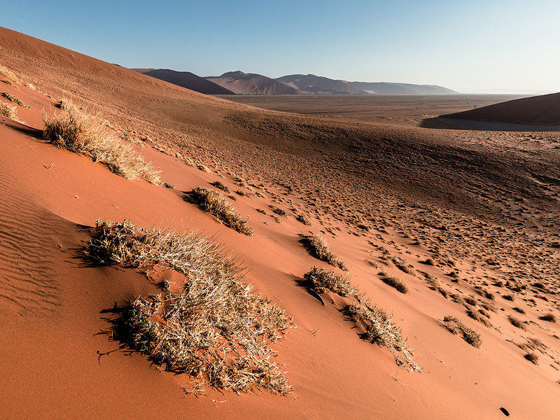 Пустыня в тайгинке фото