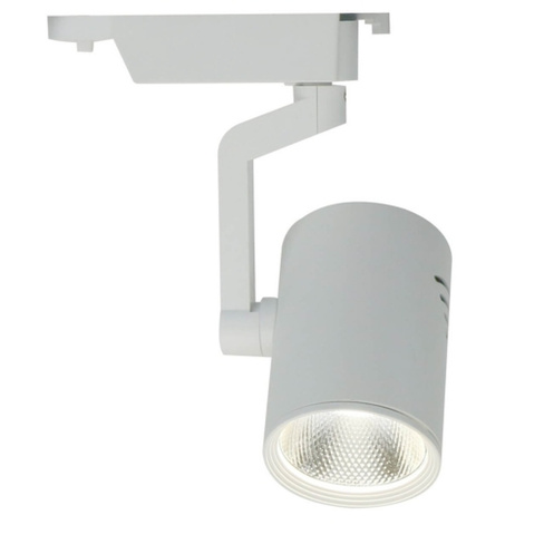 Потолочный светильник ARTE LAMP A2321PL-1WH